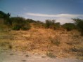 terreno en jardines del zapote en el zapote del valle