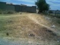 terreno rumbo a la colita de la presa en el zapote del valle